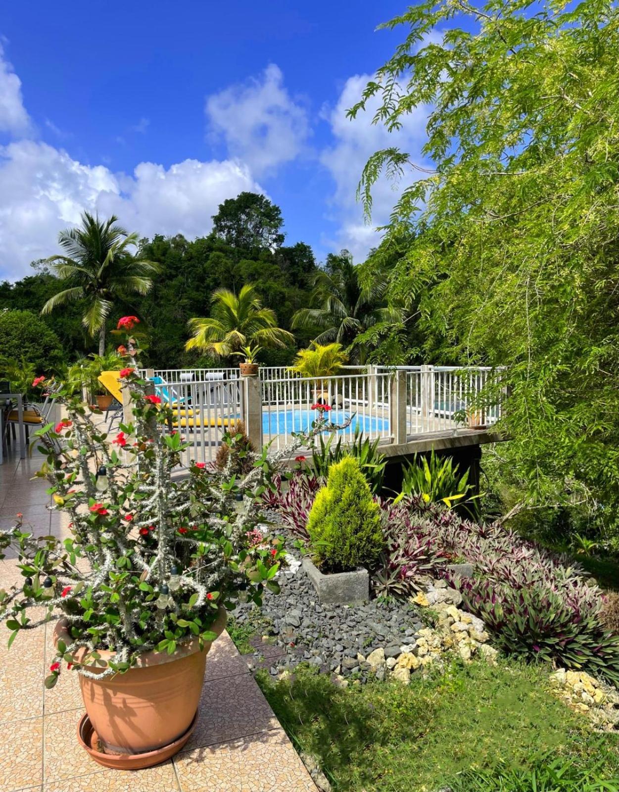 La Villa Ixora, Magnifique Villa Avec Piscine 萨莱比梅 外观 照片